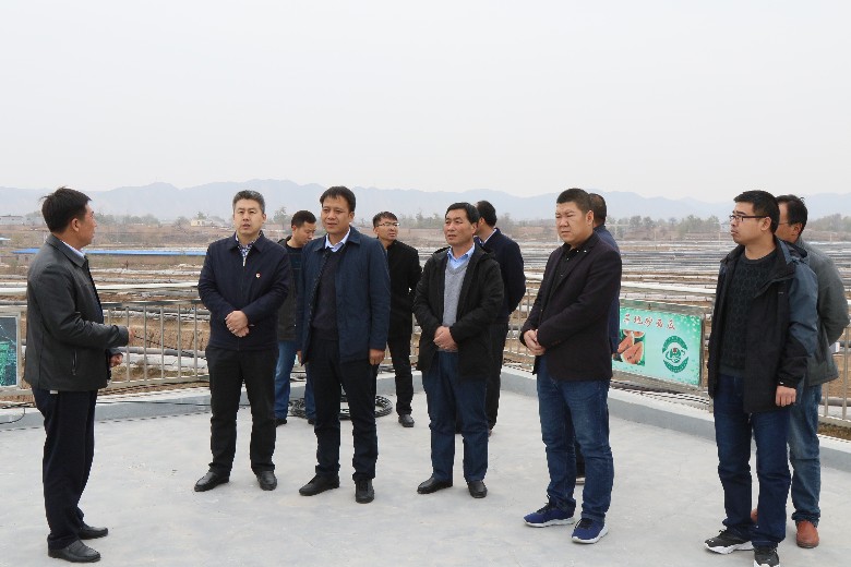 1541736092675254.jpg 东湾镇 (83).JPG