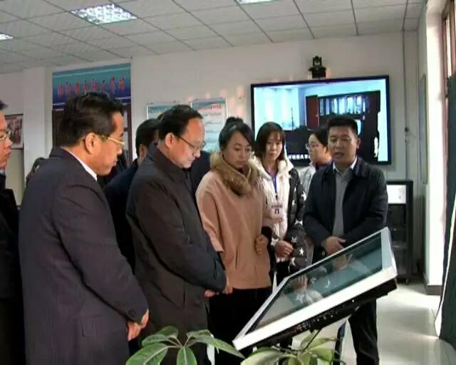王钧书记深入洮阳镇便民服务大厅调研.jpg